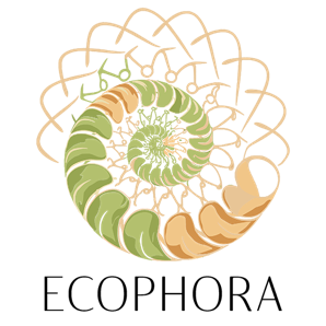 Lien vers le site Internet de Belz&But