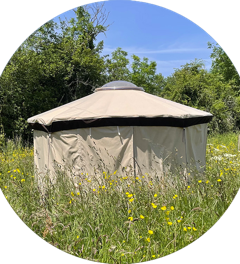 Elle s'installe vraiment partout